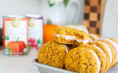 Pumpkin Spice Sandwich Cookies with Cranberry Frosting